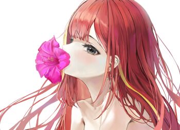 Rule 34 | 1girl, absurdres, akane lize, azalea (flower), bare shoulders, collarbone, commentary request, cross, cross earrings, earrings, eyelashes, flower, flower in mouth, flower request, from side, grey eyes, highres, jewelry, korean commentary, long hair, looking at viewer, looking to the side, multicolored hair, nonekong, parted bangs, pink flower, red hair, solo, stellive, streaked hair, thigh strap, upper body, virtual youtuber