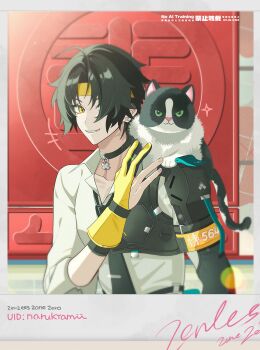 +++ 1boy absurdres ahoge animal animal_on_shoulder armor artist_name asaba_harumasa black_choker black_hair black_necktie cat cat_on_shoulder choker collarbone copyright_name earrings gloves hair_over_one_eye hand_up highres jewelry looking_at_viewer male_focus naru9 necktie parted_bangs parted_lips partially_fingerless_gloves pendant_choker shirt short_hair shoulder_armor sleeves_rolled_up solo_focus sparkle upper_body white_shirt yellow_eyes yellow_gloves zenless_zone_zero