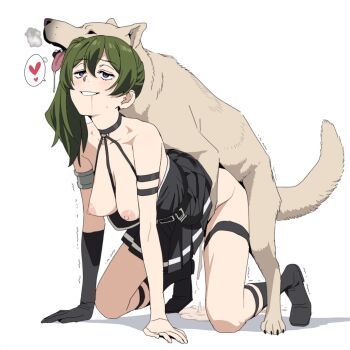 1boy 1girl animal_ears bestiality breasts clothed_sex cum cum_in_pussy dog dog_ears drooling grey_hair heart highres long_hair lover_animal medium_breasts nipples open_mouth ponytail saliva saliva_trail sex sex_from_behind simple_background smile sousou_no_frieren speech_bubble tongue tongue_out ubel_(sousou_no_frieren) white_background