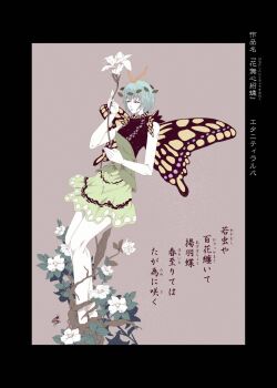 Rule 34 | 1girl, antennae, aqua hair, black border, border, brown background, brown eyes, butterfly wings, commentary request, dress, eternity larva, flower, flower request, green dress, highres, holding, holding flower, insect wings, leaf, leaf on head, plant roots, touhou, translation request, wings, yamada satoshi