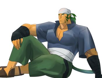 1boy absurdres animal_ears bandana clip_studio_paint_(medium) closed_mouth commentary english_commentary fire_emblem fire_emblem:_path_of_radiance green_hair highres looking_at_viewer male_focus muarim_(fire_emblem) nintendo simple_background sitting solo tail truthblade white_background