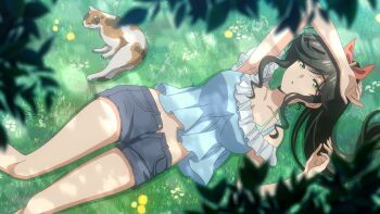 1girl anime_coloring aqua_bra arm_up artist_request bare_arms bare_legs black_hair blue_shirt bow bra bra_peek bra_strap breasts calico_(pattern) calico_cat cat cleavage collarbone commentary_request dappled_sunlight denim denim_shorts feet_out_of_frame frilled_shirt frills from_above grass green_eyes hair_bow half-closed_eyes hand_up high_ponytail highres kinme_wakana kirei_ni_shitemoraemasuka large_breasts long_hair looking_at_viewer looking_up low_drills lying midriff_peek navel off-shoulder_shirt off_shoulder official_art on_back on_grass open_clothes open_fly open_shorts outdoors parted_lips ponytail red_bow shirt shorts sidelocks solo sunlight swept_bangs underwear