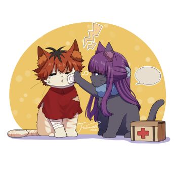 absurdres animal animal_ear_fluff animalization blank_speech_bubble blue_scarf cat closed_eyes clothed_animal commentary_request fern_(sousou_no_frieren) first_aid_kit gauze gauze_on_cheek half_updo highres j_humbo long_hair multicolored_hair no_humans purple_eyes purple_hair red_hair roots_(hair) scarf short_hair sidelocks signature sousou_no_frieren speech_bubble stark_(sousou_no_frieren) tearing_up torn_clothes