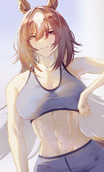 1girl abs animal_ears bare_shoulders blush breasts brown_hair grey_shorts grey_sports_bra hair_between_eyes highres horse_ears horse_girl horse_tail large_breasts long_hair looking_at_viewer multicolored_hair muscular muscular_female navel open_mouth orusun red_eyes shorts sirius_symboli_(umamusume) smile solo sports_bra stomach streaked_hair tail umamusume very_long_hair white_hair workout_clothes