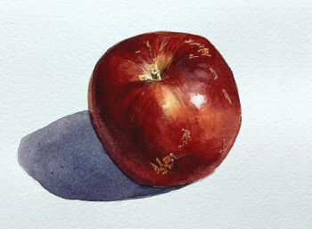 apple commentary_request food food_focus fruit no_humans original painting_(medium) repin shadow simple_background still_life traditional_media watercolor_(medium) white_background