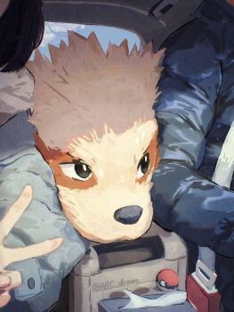 Rule 34 | 1boy, 1girl, arc draws, arcanine, black eyes, black hair, blue jacket, bright pupils, car interior, cloud, day, dog, gen 1 pokemon, highres, jacket, looking up, nintendo, poke ball, poke ball (basic), pokemon, seatbelt, sky, tissue box, v, white pupils, window