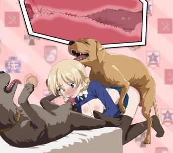 1girl animal_penis animated ass bestiality black_pantyhose blonde_hair blue_eyes blush bouncing_ass bouncing_breasts braid breasts clothes_lift clothes_pull cum cum_in_mouth cum_in_pussy cum_on_body darjeeling_(girls_und_panzer) dog dog_penis doggystyle ejaculation facial fellatio girls_und_panzer large_breasts miniskirt nipples no_bra no_panties oral pantyhose pantyhose_pull panzerhound penis school_uniform sex sex_from_behind shirt_lift skirt st._gloriana&#039;s_school_uniform vaginal video