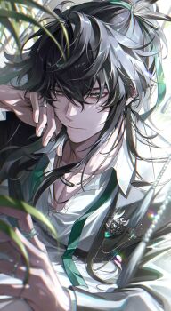 Rule 34 | 1boy, absurdres, arm up, black hair, black jacket, closed mouth, collared shirt, duck x805, grey eyes, hashtag-only commentary, head rest, highres, jacket, jewelry, layered sleeves, leaf, long hair, long sleeves, male focus, open collar, plant, qiuyuan (wuthering waves), ring, shirt, solo, suit jacket, tassel, white shirt, wing collar, wuthering waves