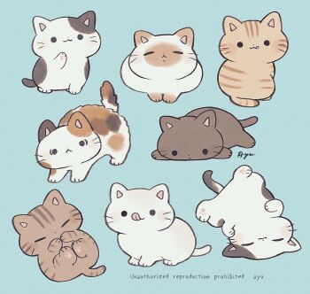 Rule 34 | :3, :p, animal, animal focus, artist name, ayu (mog), black cat, blue background, calico (pattern), calico cat, cat, closed eyes, closed mouth, commentary, english commentary, no humans, orange cat, original, signature, simple background, smile, solid circle eyes, tongue, tongue out, watermark, whiskers, white cat