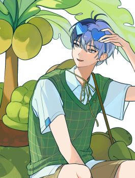 Rule 34 | 1boy, aoyagi touya, blue-tinted eyewear, blue eyes, blue hair, brown shorts, coconut, commentary, eyewear on head, green sweater vest, hat, heart, heart-shaped eyewear, highres, looking to the side, male focus, multicolored hair, palm tree, parted lips, project sekai, shirt, short sleeves, shorts, sideways glance, sitting, smile, solo, split-color hair, straw hat, sweater vest, szztzzs, tinted eyewear, tree, untranslatable commentary, unworn hat, unworn headwear, white shirt, wide sleeves
