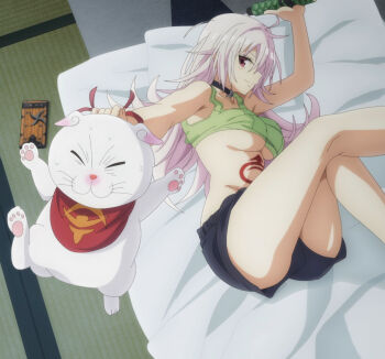 Rule 34 | 1boy, 1girl, animal, anime screenshot, armpits, ayakashi triangle, black shorts, bra, breasts, cat, cellphone, choker, closed mouth, collarbone, futon, genderswap, genderswap (mtf), green bra, hair between eyes, hip bones, holding, holding animal, holding cat, holding scroll, kazamaki matsuri, kazamaki matsuri (female), large breasts, legs up, legs up closed, light smile, long hair, lying, messy hair, on side, one eye covered, outstretched arm, phone, profile, red eyes, red scarf, scarf, scroll, shirogane (ayatora), shorts, smartphone, sports bra, stitched, stomach tattoo, tatami, tattoo, thighs, third-party edit, underboob, underwear, white cat, white hair, wide shot