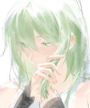 Rule 34 | 1girl, arm warmers, bad bcy id, bad id, bare shoulders, black arm warmers, cheng (zi74438982), colored eyelashes, covered mouth, fingernails, full body, green eyes, green hair, highres, holding, holding own hair, long hair, looking to the side, original, shirt, simple background, sleeveless, sleeveless shirt, solo, white background, white shirt