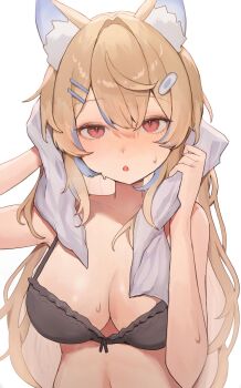 1girl animal_ears bandaid bandaid_hair_ornament black_bra blonde_hair blue_hair blush bra breasts collarbone commentary dog_ears dog_girl english_commentary fuwawa_abyssgard hair_between_eyes hair_intakes hair_ornament hairclip highres holding holding_towel hololive hololive_english large_breasts long_hair looking_at_viewer multicolored_hair navel open_mouth pink_eyes raised_inner_eyebrows simple_background stomach streaked_hair szuukie towel triangle_mouth two-tone_hair underwear virtual_youtuber wet white_background