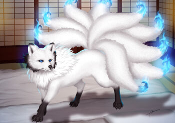 1girl abremson absurdres all_fours animal animal_ear_fluff animal_ears black_hair blue_eyes blue_fire colored_fire energy extra_tails fire fox_ears fox_tail highres inari_(monster_girl_encyclopedia) looking_at_viewer magic mattress monster_girl monster_girl_encyclopedia multicolored_hair nude shadow short_hair tail transformation two-tone_hair variant_set white_hair