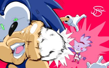 1boy 1girl animal_ears blaze_the_cat blue_fur cat_ears cat_girl cat_tail disgust furry furry_female furry_male gloves green_eyes highres jj_salot motion_lines pink_shoes punching purple_fur shoes simple_background smile sonic_(series) sonic_the_hedgehog surprised tail white_background white_gloves yellow_eyes