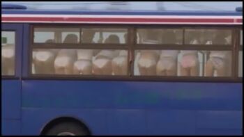 6+girls against_glass animated asian ass bus japanese_(nationality) jav motor_vehicle multiple_girls panties pov school_uniform skirt sound tagme underwear upskirt video