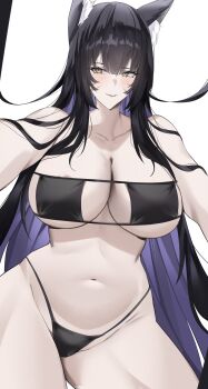 1girl animal_ear_fluff animal_ears areola_slip azur_lane bare_shoulders bikini black_bikini black_bra black_hair black_panties blush bra breasts collarbone colored_inner_hair facial_mark fox_ears hazel_eyes highres huge_breasts kuro_artis_(kuru-kuru) large_breasts light_smile long_hair midriff multicolored_hair musashi_(azur_lane) navel nipple_slip nipples panties smile smirk solo stomach swimsuit thick_thighs thighs underwear wide_hips yellow_eyes