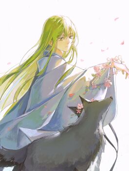 1boy absurdres androgynous arm_up bishounen enkidu_(fate) falling_petals fate/strange_fake fate_(series) flower flower_wreath from_side green_eyes green_hair hair_between_eyes highres long_hair looking_down looking_to_the_side male_focus petals pink_flower pink_petals robe shiqingsan simple_background solo straight_hair upper_body very_long_hair white_background white_robe wide_sleeves wolf
