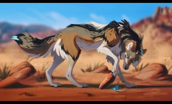 animal animal_ears animal_focus artist_name astarcis black_fur blue_eyes blurry blurry_background claws commentary desert english_commentary fluffy full_body grass grey_fur lizard no_humans original red_fur sky standing tail watermark white_fur wolf wolf_ears wolf_tail