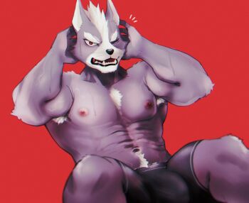1boy abs animal_ears armpit_hair armpits bara biceps black_male_underwear boxers bulge chest_hair commentary_request exercising fangs furry furry_male grey_fur highres k0bit0wani looking_at_viewer male_focus male_underwear muscular muscular_male navel nintendo nipples notice_lines one_eye_closed open_mouth pectorals red_background red_eyes sit-up star_fox surprised sweat topless_male underwear very_sweaty white_hair wolf_boy wolf_ears wolf_o'donnell
