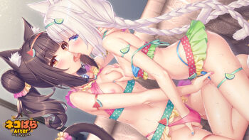 2girls alternate_hairstyle animal_ear_fluff animal_ears arm_behind_head arm_strap bell bikini blue_eyes blue_nails braid breasts brown_hair cat_ears cat_girl cat_tail chocola_(nekopara) double_bun dutch_angle fingering food-themed_hair_ornament french_kiss fruit_hair_ornament functionally_nude game_cg grabbing_another&#039;s_breast green_nails groping hair_bun hair_ornament hair_scrunchie half-closed_eyes hand_on_another&#039;s_neck incest indoors kiss lime_hair_ornament looking_at_viewer looking_back medium_breasts multicolored_bikini multicolored_swimsuit multiple_girls mutual_fingering mutual_masturbation nail_polish neck_bell nekopara nipples official_art orange_eyes pink_nails polka_dot polka_dot_bikini pussy_juice saliva saliva_trail sayori_(neko_works) scrunchie siblings sisters slit_pupils small_breasts sweat swimsuit tail tail_cuff tail_ornament tail_scrunchie thigh_strap tongue tongue_out twin_braids twincest twins vanilla_(nekopara) watermark watermelon_hair_ornament white_hair white_polka_dots yuri