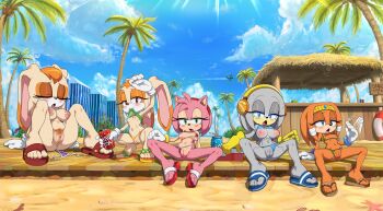 5girls absurdres amy_rose beach cream_the_rabbit highres loli multiple_girls nipples nude pussy sonic_(series) swimsuit tikal_the_echidna vanilla_the_rabbit zeta_r-02 zeta_the_echidna