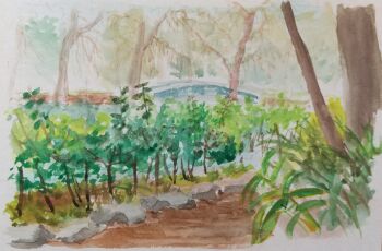 absurdres bush commentary_request fern harusa1107 highres nature no_humans original painting_(medium) plant rock scenery sketch traditional_media tree unfinished watercolor_(medium)