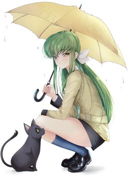 1girl absurdres ashford_academy_school_uniform black_cat black_shoes black_skirt black_socks bow budgiepon c.c. cat closed_mouth code_geass commentary curvy expressionless eyelashes from_side full_body green_hair hair_between_eyes hair_bow hand_on_own_thigh hand_up highres holding holding_umbrella jacket kneehighs light_blush loafers long_hair long_sleeves looking_at_another looking_at_viewer low_ponytail miniskirt ponytail rain school_uniform shoes sidelocks simple_background skirt socks solo squatting straight_hair thighs tiptoes umbrella very_long_hair water_drop white_background white_bow yellow_eyes yellow_jacket yellow_umbrella