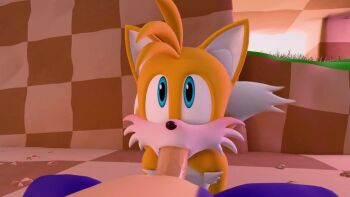 2boys 3d animal_ears animated artist_request blue_eyes blue_fur completely_nude erection fellatio fox_boy fox_ears fox_tail furry furry_male furry_with_furry male_focus moaning multiple_boys multiple_tails nude oral penis shota sonic_(series) sonic_the_hedgehog sound tagme tail tail_wagging tails_(sonic) two_tails uncensored video white_fur yaoi yellow_fur