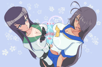 2girls breasts busujima_saeko crossover highres highschool_of_the_dead ikkitousen kan&#039;u_unchou large_breasts long_hair multiple_girls