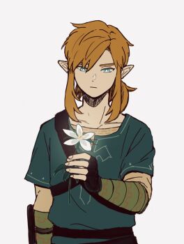 1boy :| arm_up belt black_gloves blonde_hair blue_eyes blue_tunic closed_mouth collarbone commentary_request flower gloves hair_intakes highres holding holding_flower link male_focus nintendo parted_hair pointy_ears ponytail ruya_pim simple_background solo the_legend_of_zelda the_legend_of_zelda:_breath_of_the_wild tunic white_background white_flower
