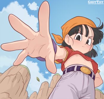 1girl bandana belt black_belt black_eyes black_hair casytay cloud commentary dragon_ball dragon_ball_gt english_commentary flat_chest highres loli nipples pan_(dragon_ball) red_shirt shirt sky solo upshirt