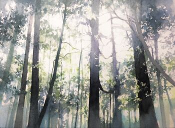 absurdres commentary_request day forest highres nature no_humans original outdoors painting_(medium) scenery toyonaga_ryouhei traditional_media tree watercolor_(medium)