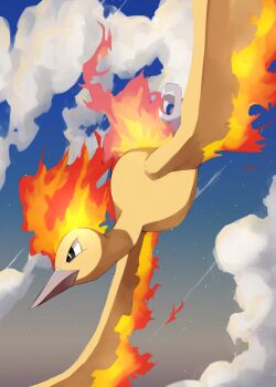 animal_focus beak bird black_eyes closed_mouth cloud fiery_hair fiery_tail fiery_wings fire flame-tipped_tail flying gen_1_pokemon highres kou11021301 legendary_pokemon moltres nintendo no_humans pokemon pokemon_(creature) pokemon_focus sky tail wings