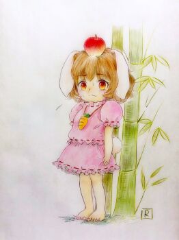 Rule 34 | 1girl, animal ears, apple on head, bamboo, barefoot, blush, brown hair, carrot necklace, commentary request, dress, floppy ears, flying sweatdrops, inaba tewi, jewelry, necklace, nervous sweating, pink dress, puffy short sleeves, puffy sleeves, q-bee (aaru), rabbit ears, rabbit girl, rabbit tail, red eyes, short hair, short sleeves, solo, sweat, tail, toenails, touhou, traditional media, wavy mouth, william tell (legend)