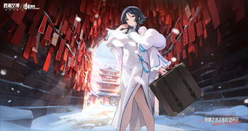 1girl absurdres ahoge black_hair breasts china_dress chinese_clothes commentary_request covered_navel cropped_legs day dress from_below goddess_of_victory:_nikke green_eyes highres hongbao large_breasts long_sleeves looking_at_viewer medium_hair official_art outdoors painted_skin_(nikke) second-party_source sidelocks snow solo standing suitcase temple tunnel white_dress winter
