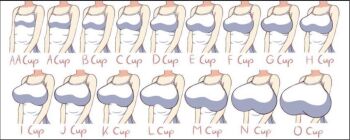 breasts medium_breasts simple_background size_chart size_comparison size_difference small_breasts white_background