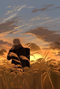 Rule 34 | 1boy, adjusting scarf, backpack, bag, blue sky, cloud, coat, ginko (mushishi), gradient sky, grass, hair over one eye, highres, mushishi, nature, orange sky, outdoors, rokudenaru, scarf, short hair, sky, solo, sunset, susuki grass, tall grass, twitter username, white hair
