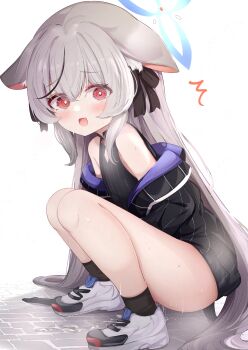 1girl absurdres animal_ear_fluff animal_ears bare_shoulders black_dress black_hair black_jacket black_socks blue_archive blue_halo blush closed_mouth commentary_request dress embarrassed flasher_(flasher_ura) flat_chest full_body grey_hair halo highres jacket kokona_(blue_archive) loli long_hair looking_at_viewer multicolored_hair off_shoulder open_mouth puddle pussy_juice red_eyes shoes simple_background socks solo squatting streaked_hair striped_clothes striped_dress striped_jacket surprised tiger_ears tiger_girl variant_set vertical-striped_clothes vertical-striped_dress vertical-striped_jacket very_long_hair white_background white_shoes