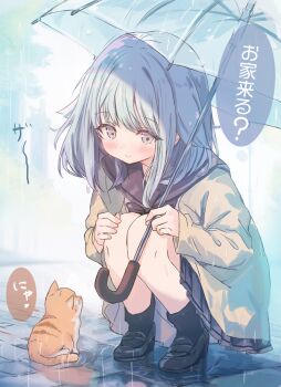 1girl black_bow black_bowtie black_shoes black_socks blue_hair blue_skirt blush bow bowtie cardigan cat closed_mouth commentary_request cutlass_(classic_chocolate) full_body green_cardigan grey_eyes highres holding holding_umbrella long_sleeves noesis_(cutlass_(classic_chocolate)) orange_cat pleated_skirt rain shoes short_hair skirt smile socks solo speech_bubble squatting translation_request transparent transparent_umbrella umbrella