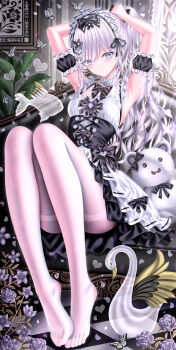 Rule 34 | 1girl, absurdres, armpits, arms up, bird, black bow, black bowtie, black corset, black sleeves, blue eyes, blush, bow, bowtie, breasts, bug, butterfly, chair, checkered floor, closed mouth, commentary, corset, cross-laced clothes, cross-laced corset, detached collar, detached sleeves, eyelashes, feet, fish, flower, flying fish, frilled shirt, frilled sleeves, frills, full body, hair flower, hair ornament, heart, heart hair ornament, highres, indoors, insect, knees up, long hair, long legs, maid, maid headdress, medium breasts, no shoes, original, pantyhose, picture frame, plant, purple flower, shirt, sleeveless, sleeveless shirt, smile, solo, stuffed animal, stuffed toy, swan, symbol-only commentary, teddy bear, thighband pantyhose, tile floor, tiles, tina (tinafya), tying hair, very long hair, wavy hair, white butterfly, white hair, white pantyhose, white shirt, white sloirt