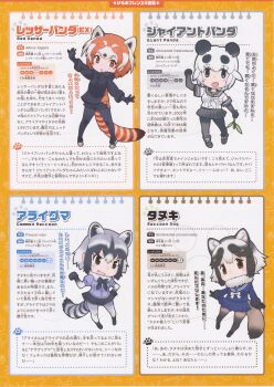 4girls common_raccoon_(kemono_friends) full_body giant_panda_(kemono_friends) kemono_friends kemono_friends_2 looking_at_viewer multiple_girls official_art red_panda_(ex)_(kemono_friends) simple_background tanuki_(kemono_friends) yoshizaki_mine