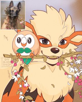 animal_focus arcanine bird fangs fangs_out gen_1_pokemon gen_7_pokemon grey_eyes highres looking_at_viewer nintendo no_humans open_mouth orange_fur owl photo-referenced photo_inset pokemon pokemon_(creature) pokemon_focus reference_photo rowlet shyblacksheep smile stick