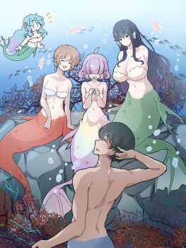 1boy 4girls ahoge air_bubble bare_back bare_shoulders bikini black_hair blue_hair blue_tail blunt_bangs blush bracelet breasts brown_hair bubble collarbone commentary_request coral coral_reef fins fish green_eyes green_tail hair_between_eyes hair_ornament hair_over_eyes hand_on_own_head head_fins highres jewelry komena_(shinyday312) large_breasts laughing long_hair long_sidelocks looking_at_another looking_down medium_breasts mermaid merman mob_face monster_boy monster_girl multiple_girls navel notice_lines on_rock open_mouth original own_hands_together pearl_bracelet purple_hair purple_tail red_tail shell shell_bikini short_hair shoulder_blades sidelocks sitting small_breasts starfish starfish_hair_ornament swimming swimsuit underwater