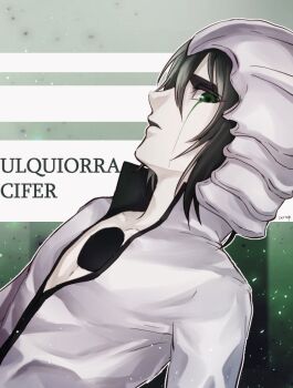 Rule 34 | 1046sstep btoh, 1boy, black hair, bleach, commentary request, green eyes, hole in chest, hole on body, male focus, medium hair, pale skin, profile, solo, ulquiorra cifer, upper body