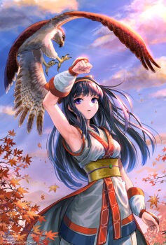1girl ainu_clothes arm_up armpits artist_name autumn_leaves bird black_hair blue_sky bluesky_username breasts cloud commentary dargain_x floating_hair hawk highres leaf legs long_hair mamahaha medium_breasts midair nakoruru open_mouth outdoors pants parted_lips purple_eyes samurai_spirits sash sky snk talons the_king_of_fighters the_king_of_fighters_xv thighs tongue tree twitter_username wings