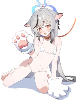 1girl alternate_costume animal_collar animal_ear_fluff animal_ears animal_hands bare_legs bare_shoulders barefoot bdsm bikini black_hair black_ribbon black_streaks blue_archive blue_halo blush collar daredattakke dot_nose fang feet flat_chest floppy_ears furrowed_brow gloves grey_hair hair_between_eyes hair_over_shoulder hair_ribbon halo hand_up heart heart-shaped_pupils highres kneeling kokona_(blue_archive) leaning_to_the_side leash loli long_hair looking_at_viewer micro_bikini multicolored_hair navel open_mouth orange_eyes paw_gloves pet_play red_collar ribbon simple_background slave solo stomach streaked_hair sweat swimsuit symbol-shaped_pupils thighs tiger_ears toes very_long_hair white_background white_bikini