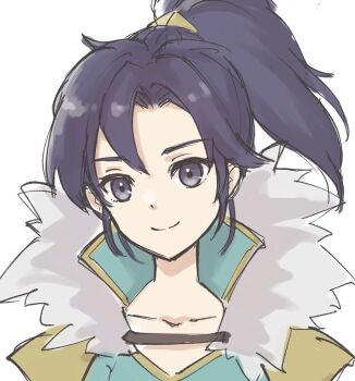 1girl black_hair blue_shirt closed_mouth collarbone fir_(dual_warrior)_(fire_emblem) fir_(fire_emblem) fire_emblem fire_emblem:_the_binding_blade fire_emblem_heroes fur_trim long_hair nintendo official_alternate_costume ponytail popped_collar purple_eyes purple_hair shirt simple_background smile solo tea6043 upper_body white_background