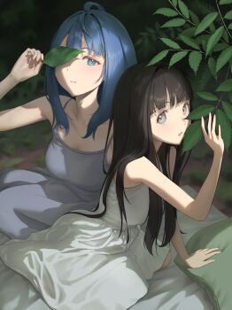 2girls black_hair blue_eyes blue_hair breasts brown_eyes commentary_request dress grey_dress highres holding holding_leaf hyakusyo69 kneeling large_breasts leaf leaf_over_eye long_dress long_hair looking_at_viewer make_heroine_ga_oo_sugiru! medium_hair multiple_girls nukumizu_kaju sitting small_breasts white_dress yanami_anna