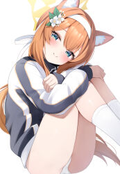 Rule 34 | 1girl, absurdres, animal ear fluff, animal ears, blue archive, blue eyes, blush, cat ears, commentary request, flower, gym uniform, hair flower, hair ornament, hairband, halo, highres, long hair, long sleeves, looking at viewer, mari (blue archive), mari (track) (blue archive), no pants, official alternate costume, orange hair, panties, rei (ilust9999), simple background, sitting, socks, solo, thighs, underwear, white background, white flower, white hairband, white panties, white socks, yellow halo